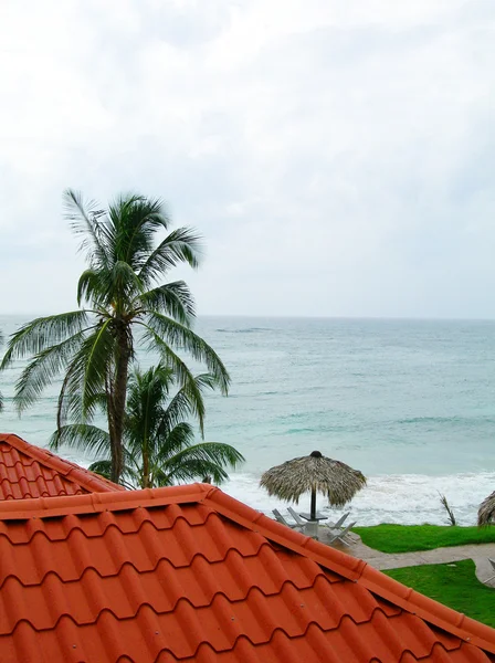 Caribeño vista al mar sobre el material de techo típico isla de maíz nicara —  Fotos de Stock