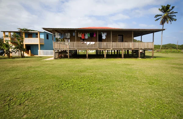 Ostrov home with coconut tree corn island nicaragua — стоковое фото