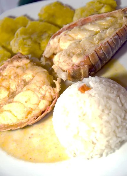 Lobster Central american style with tostones rice — Stok Foto