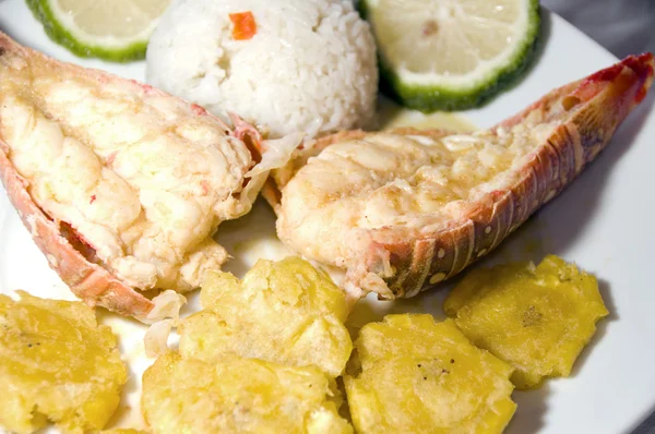 Lobster Central american style with tostones rice — Stok Foto