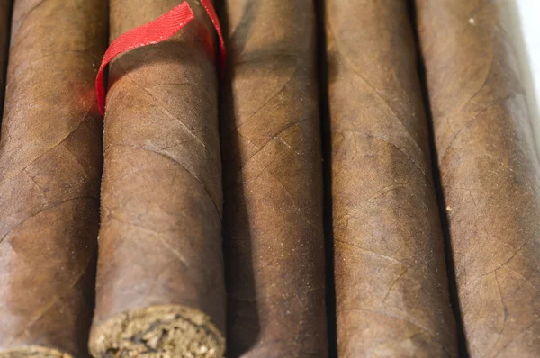 Cigarros hechos a mano de calidad de Nicaragua —  Fotos de Stock