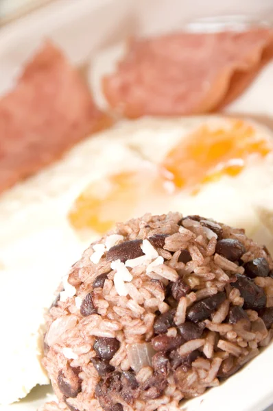 Gallo pinto Nicaraguan breakfast — Stock Photo, Image