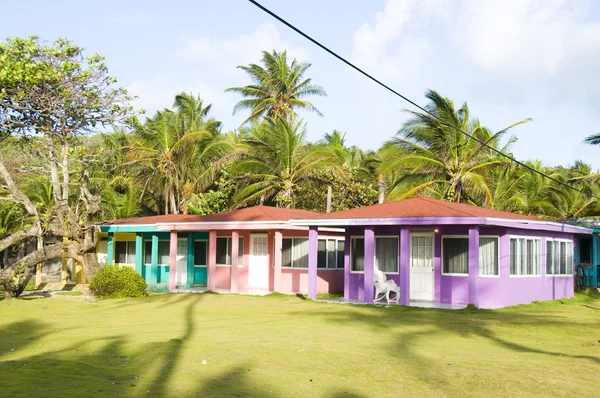 Location cabanes sallie peachie grande île de maïs nicaragua — Photo