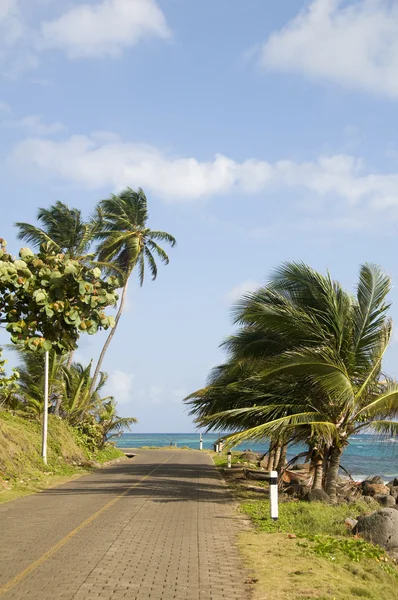 Malecon por mar caribenho ilha de milho nicarágua — Fotografia de Stock