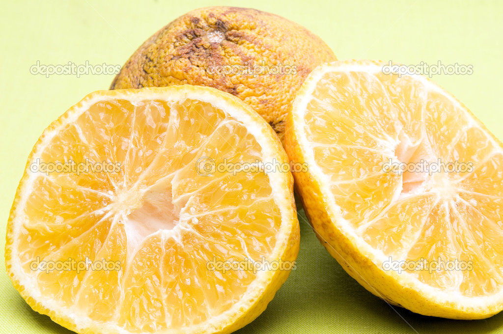 ugli fruits from jamaica |图库照片08robert lerich#13077283