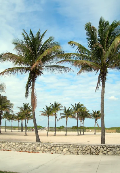 Pěší promenáda jižní pláže miami florida — Stock fotografie