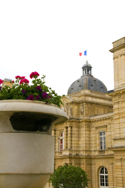 Regeringen palace luxembourg gardens paris Frankrike — Stockfoto