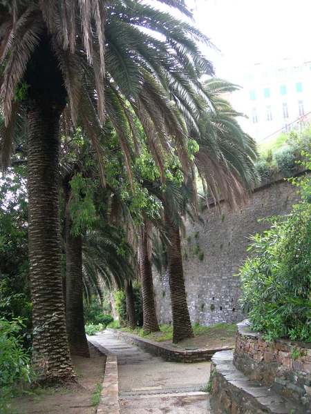 Romieu zahrady bastia Korsika Francie — Stock fotografie