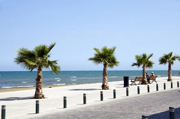 Avenida junto al mar "Foinikoudes", paseo marítimo Larnaca Chipre — Foto de Stock