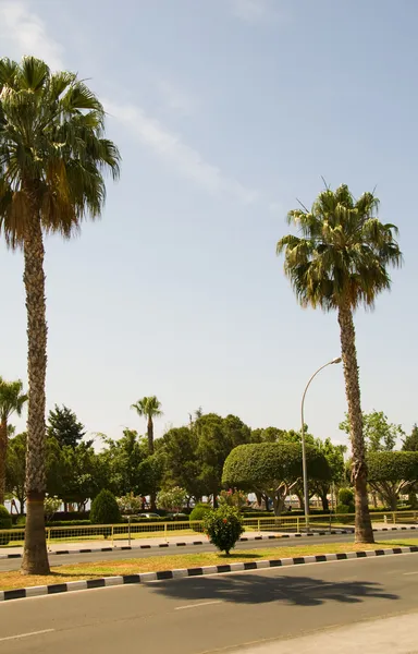 Bilfria strandpromenaden lemesos limassol Cypern — Stockfoto