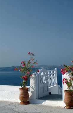 veranda ile denize çiçek