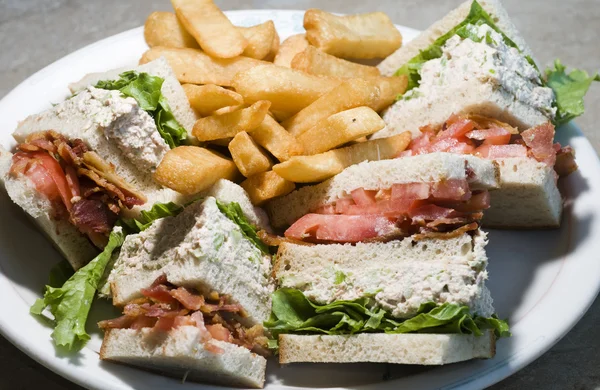 Thunfisch-Club-Sandwich — Stockfoto