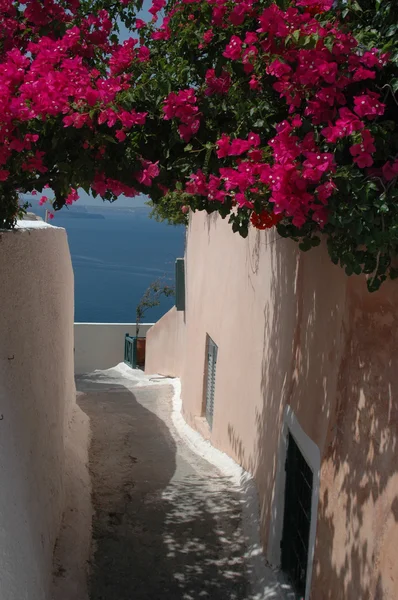 Scena di strada isole greche — Foto Stock
