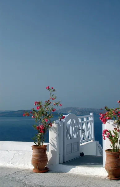 Patio con fiori sul mare — Foto Stock