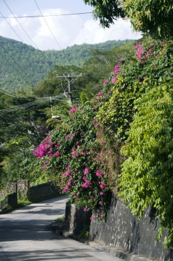 sokak sahne bequia