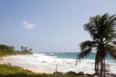 içerik işaret beach Karayip Denizi Mısır Island nicaragua