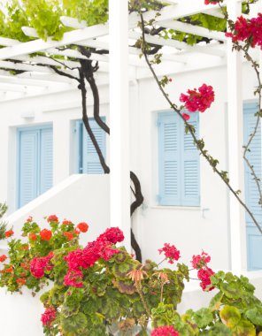 Yunan Adası paros tipik mimari beyaz motel apartman binası