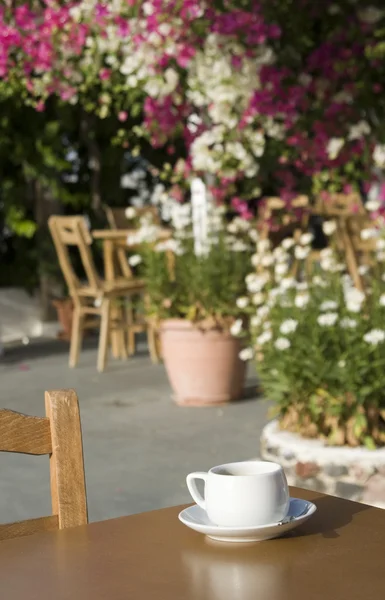 Coffee in the garden — Stock Photo, Image