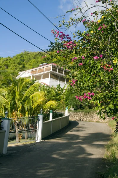 Luxury house on road with flowers bequia — Stock Photo, Image