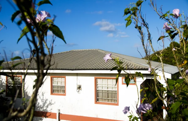 Casa caribeña de estilo nativo — Foto de Stock