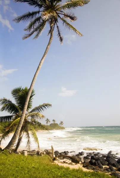 Isla de maíz playa desolada nicaragua — Foto de Stock