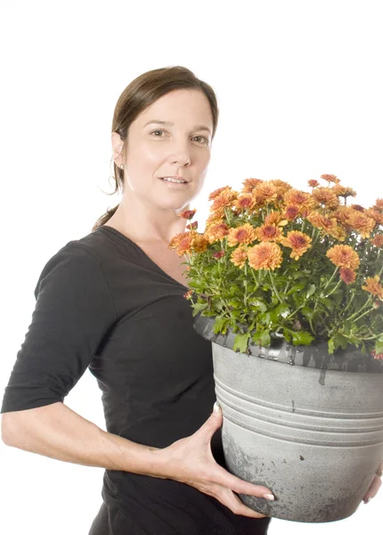 Mujer de mediana edad jardinero con hermosa flujo mamá crisantemo — Foto de Stock