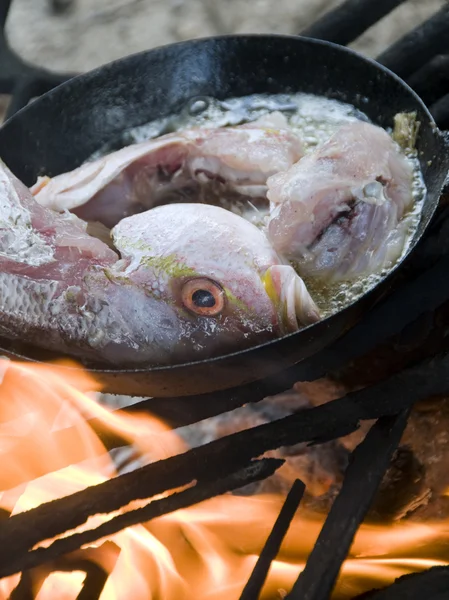 Fresh fish cooking in coconut oil wood burning grill Corn Island — Stock Photo, Image