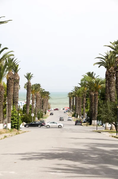 Rue Dag Hammarskjoeld Carthage-Hannibal Tunis Road to sea — стоковое фото