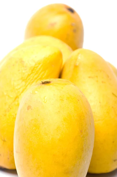 Champagne mangos in plastic box white background — Stock Photo, Image