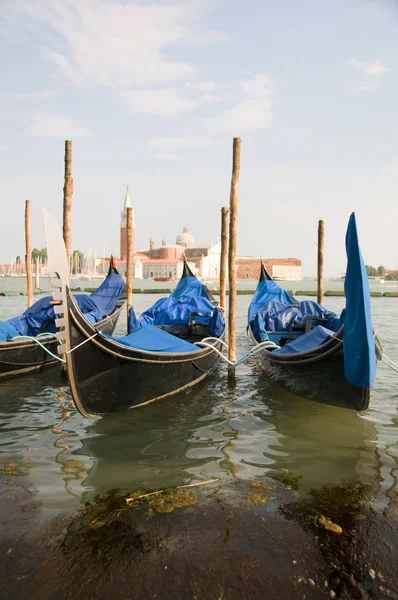 Gondels in grand canal Venetië Italië beroemde kerk in achtergrond — Stockfoto