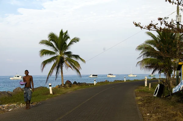 Walking along the road near the sea — Stock Photo, Image