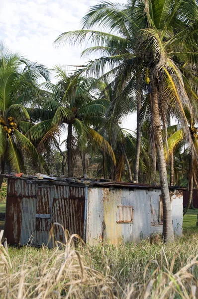 Typical house corn island nicaragua — Stock Photo, Image