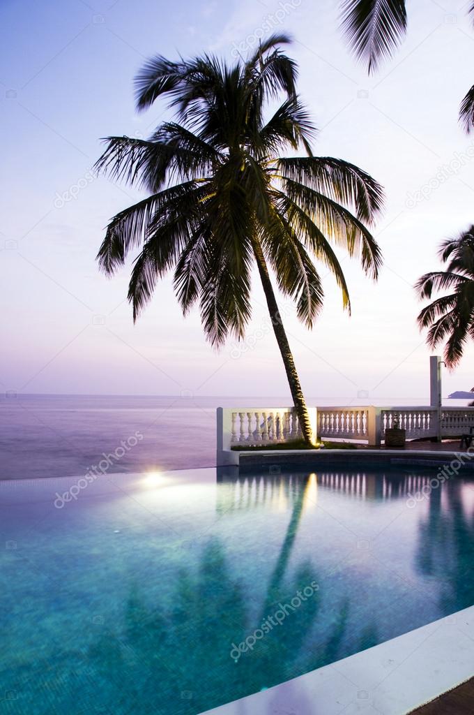 luxury swimming pool with coconut tree Caribbean sea