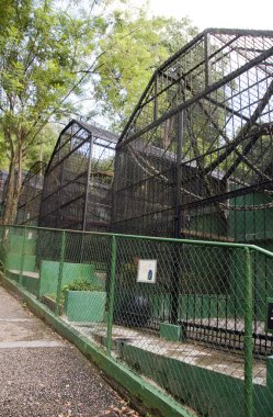 Eski hayvanat bahçesinde kafesleri İmparator Vadisi Hayvanat Bahçesi trinidad İspanya Limanı