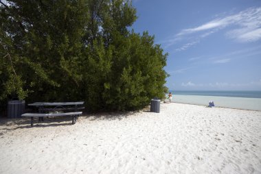 piknik masa üzerinde beach florida keys