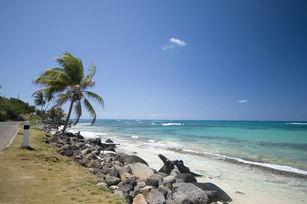 Sahil Malecón yolunu sallie peachie beach Mısır Island nicaragua — Stok fotoğraf