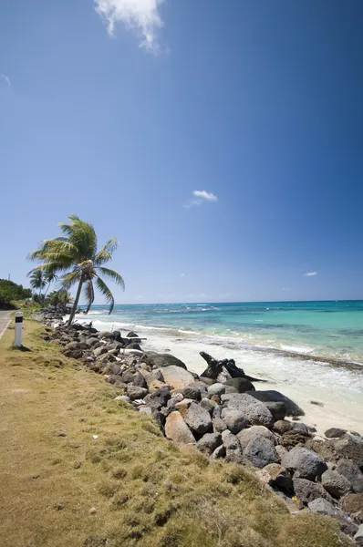 Seaside malecon road sallie peachie beach corn island nicaragua — Stock Photo, Image