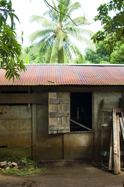 Maison dans la jungle Big Corn Island Nicaragua — Photo