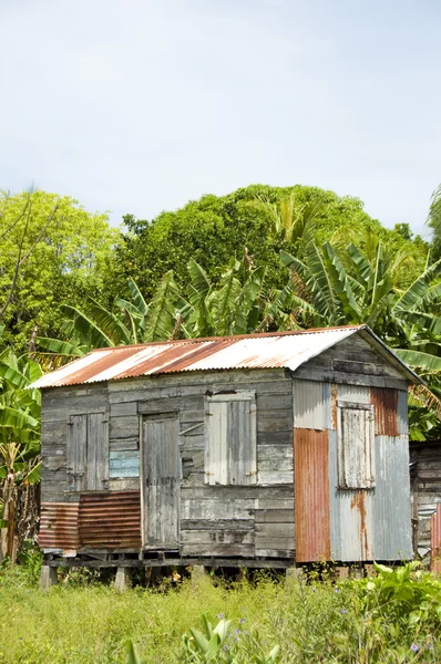 Ramshackle zinco clapboard casa selva Corn Island Nicarágua — Fotografia de Stock
