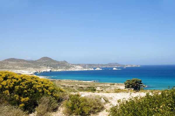Playa de piedra caliza Mar Mediterráneo Milos Isla griega —  Fotos de Stock
