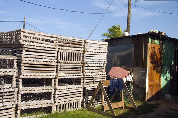 Trampas para langostas Isla de Maíz Nicaragua —  Fotos de Stock