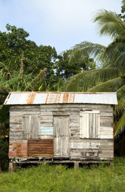 typical house corn island nicaragua clipart