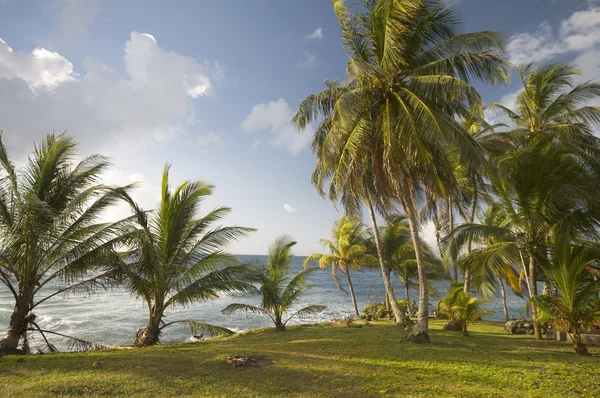 Paesaggio tropicale — Foto Stock