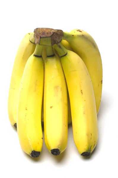 Junior baby bananas — Stock Photo, Image