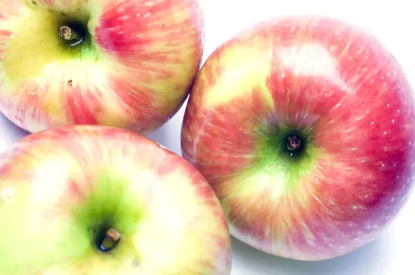 Honeycrisp яблоки — стоковое фото