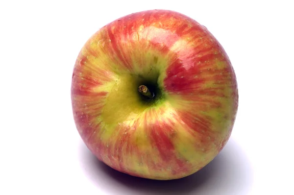 Honeycrisp яблоки — стоковое фото