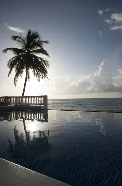 Piscina infinita con flotador mar caribeño —  Fotos de Stock