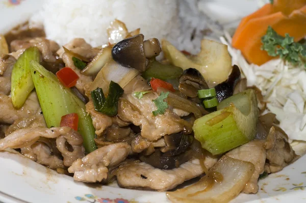 Pad khing thailändisches Essen — Stockfoto