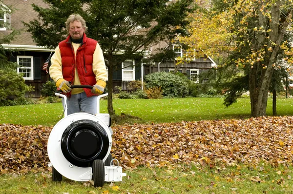 Professional leaf blower — Stock Photo, Image