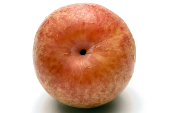 Pflaumen- und aprikosenfruchthybride — Stockfoto